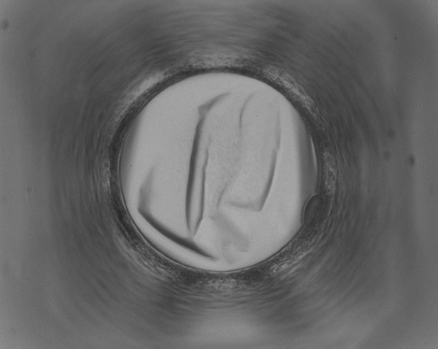 X0000072940631200608181342