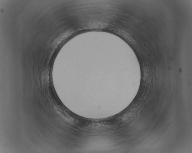 X0000072940632200608181342