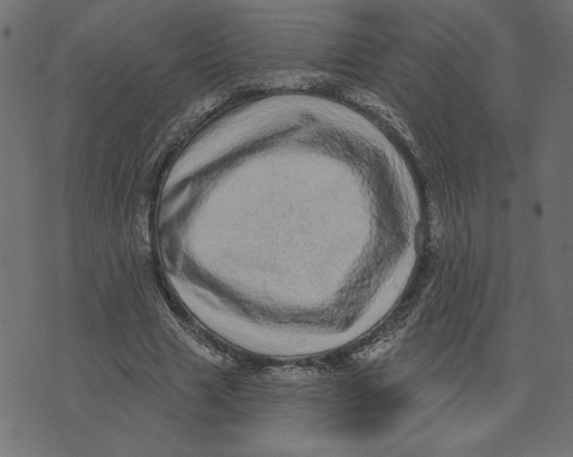 X0000072940633200608181342