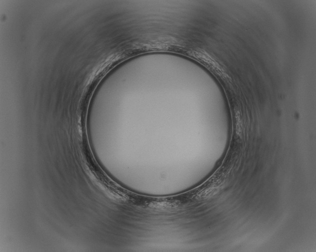 X0000072940634200608181342