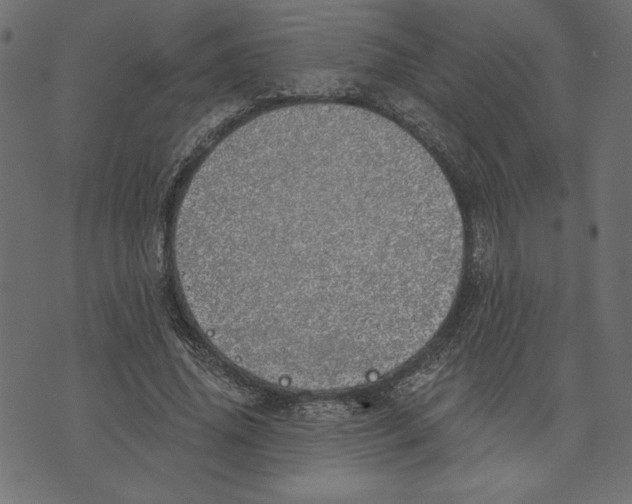 X0000072940636200608181342