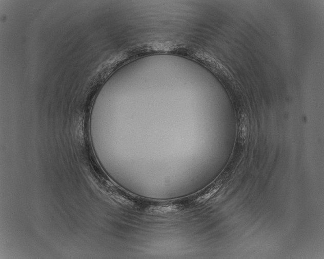 X0000072940639200608181342