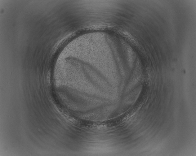 X0000072940640200608181342