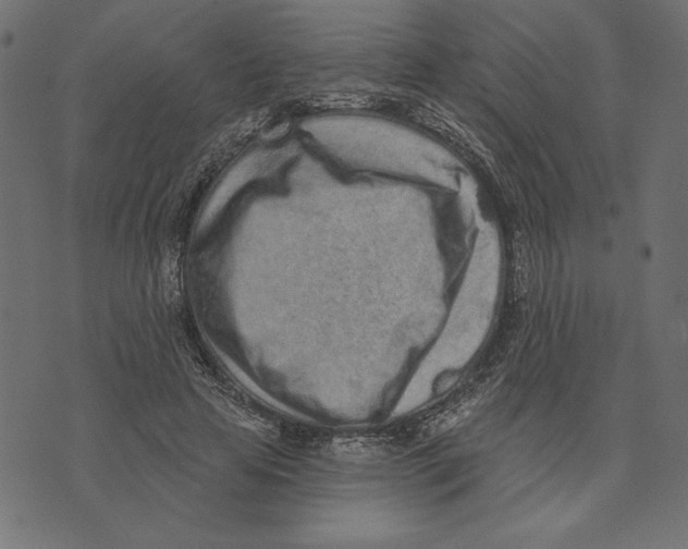 X0000072940641200608181342