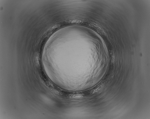 X0000072940643200608181342