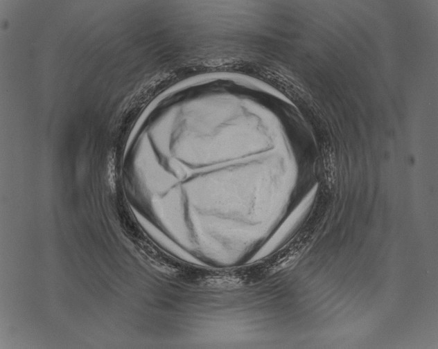 X0000072940644200608181342