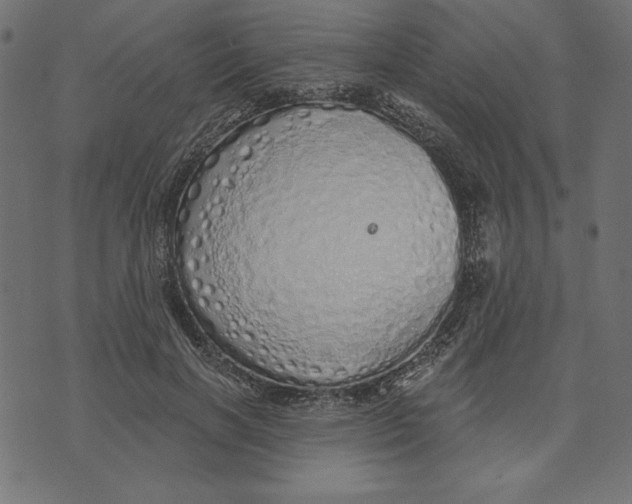 X0000072940646200608181342