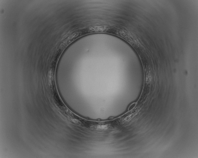 X0000072940647200608181342