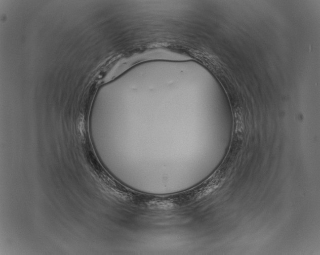 X0000072940648200608181342