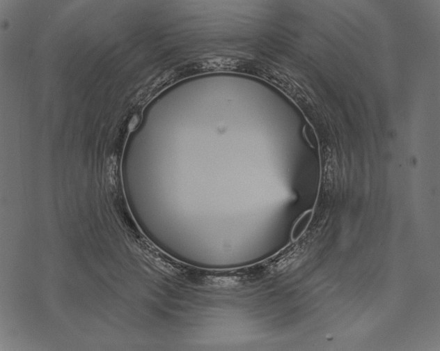 X0000072940649200608181342