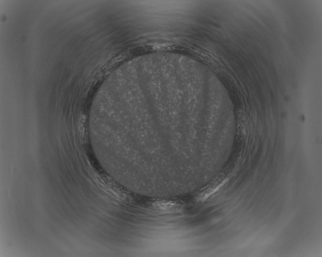 X0000072940650200608181342