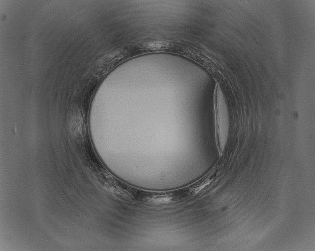 X0000072940651200608181342