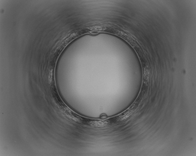 X0000072940652200608181342