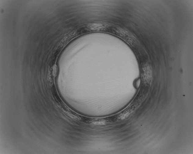 X0000072940653200608181342