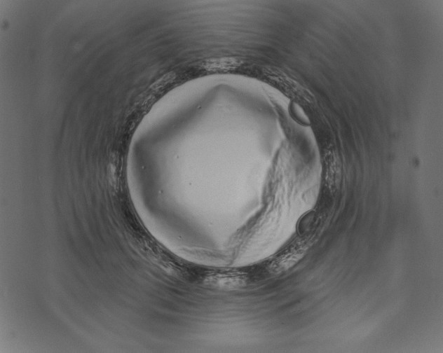 X0000072940655200608181342