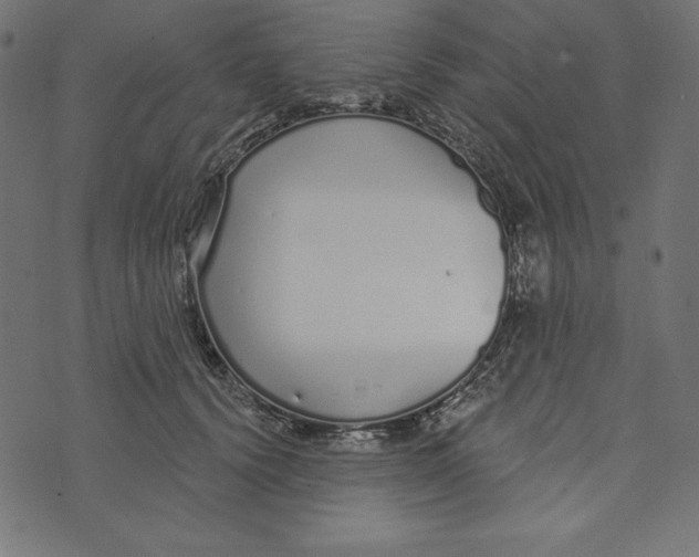 X0000072940656200608181342