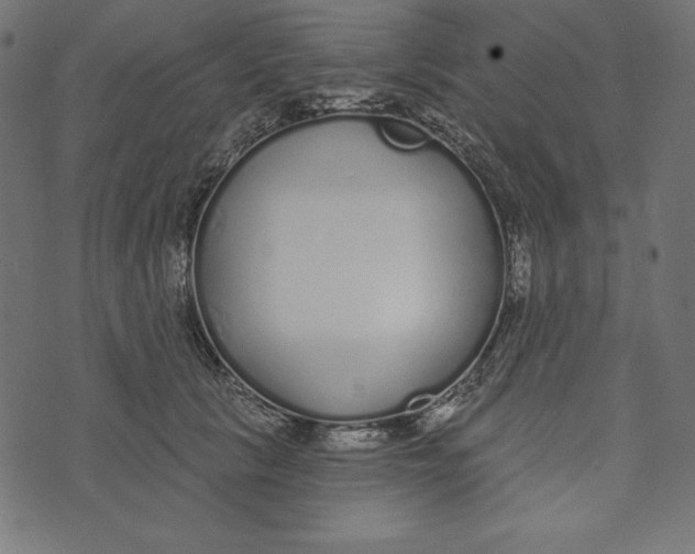 X0000072940657200608181342