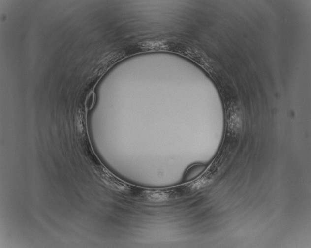 X0000072940658200608181342