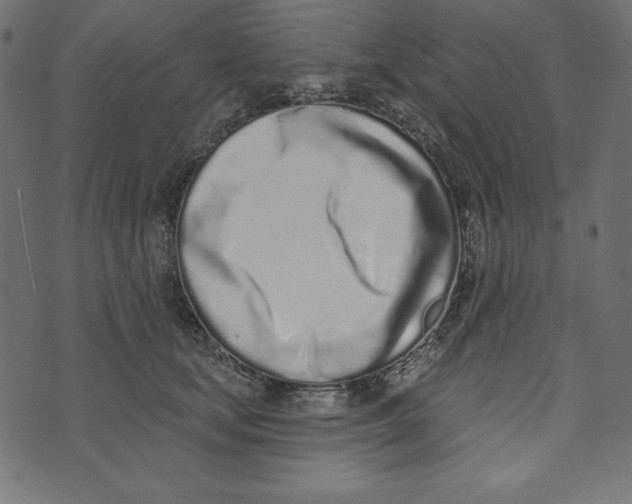 X0000072940659200608181342