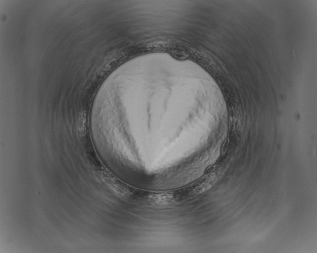 X0000072940660200608181342