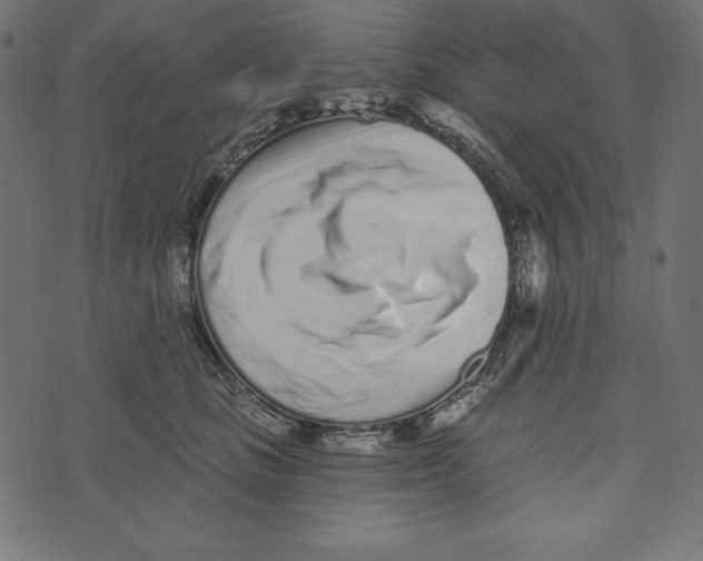 X0000072940661200608181342