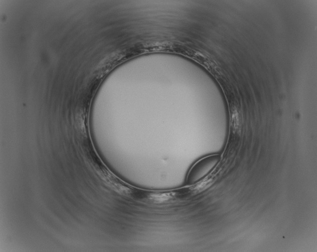 X0000072940662200608181342