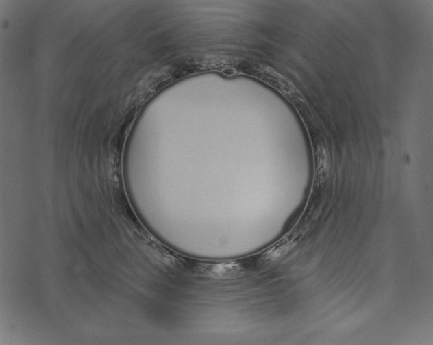 X0000072940663200608181342