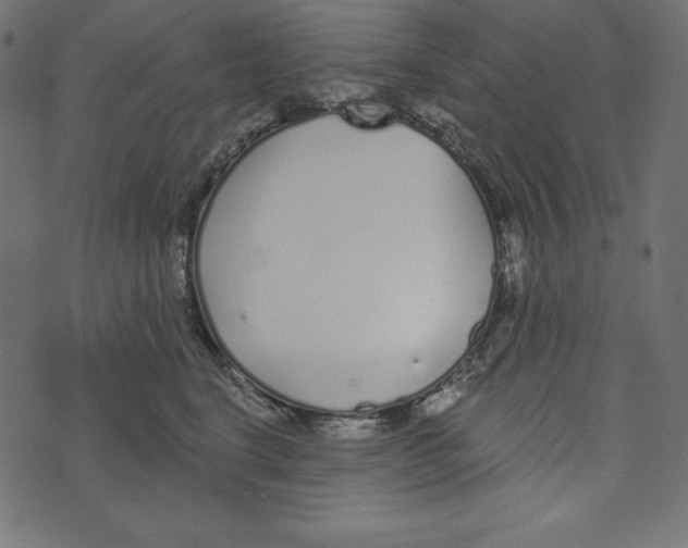 X0000072940664200608181342