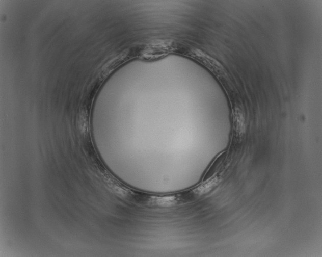 X0000072940665200608181342