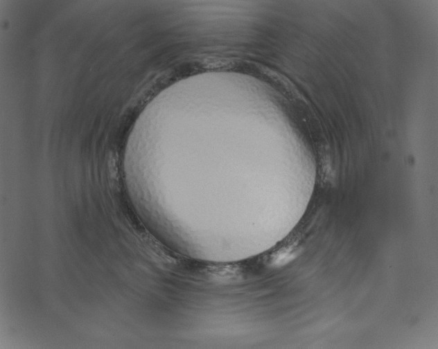 X0000072940667200608181342