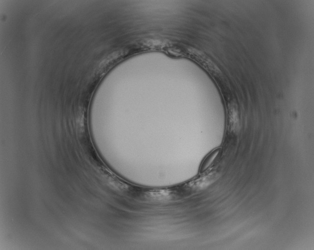 X0000072940668200608181342