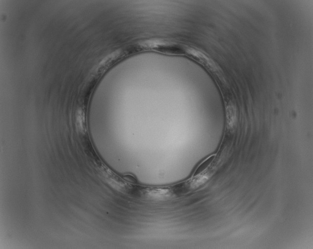 X0000072940669200608181342