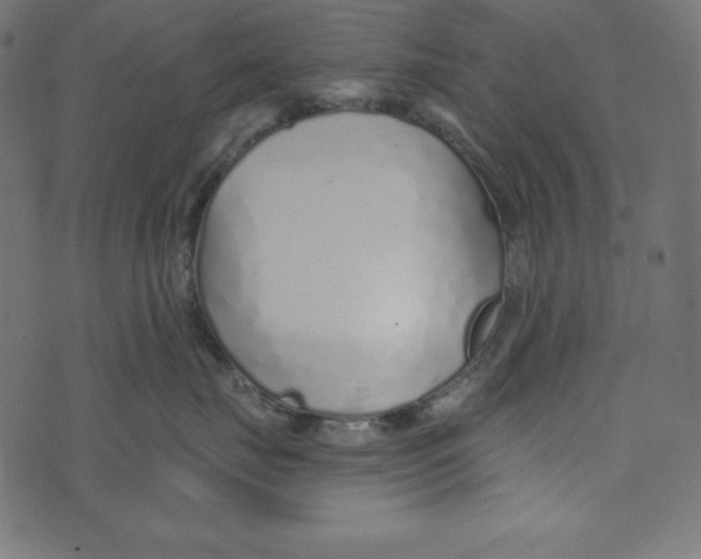 X0000072940671200608181342