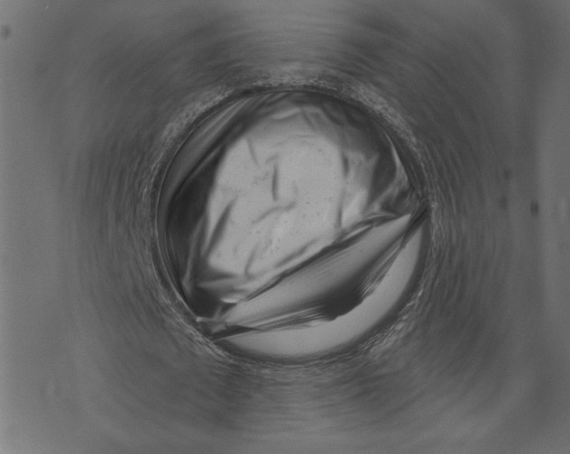 X0000072940673200608181342