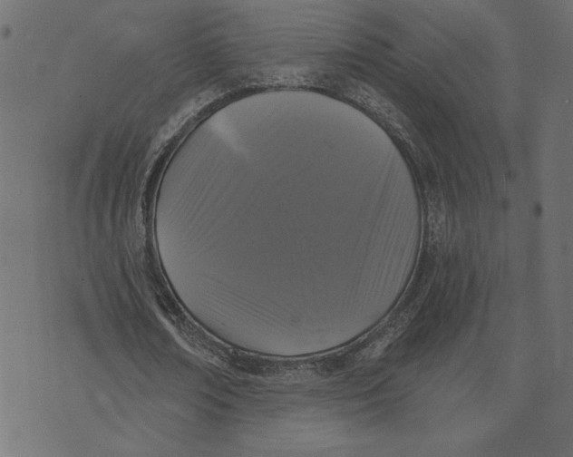 X0000072940674200608181342