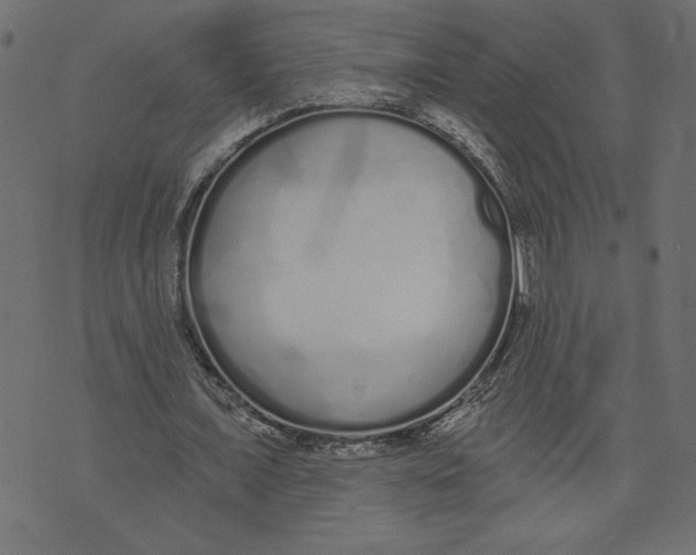 X0000072940675200608181342