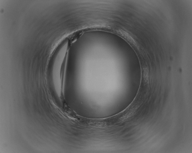 X0000072940676200608181342