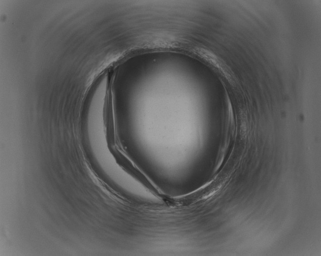 X0000072940677200608181342