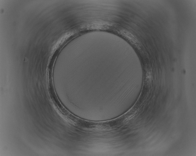 X0000072940678200608181342