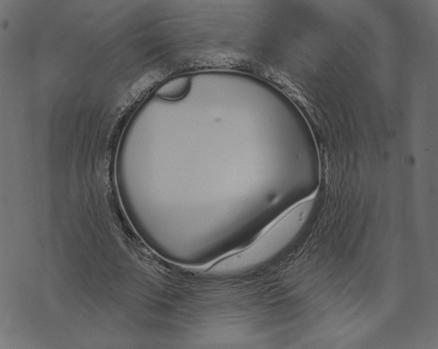 X0000072940679200608181342