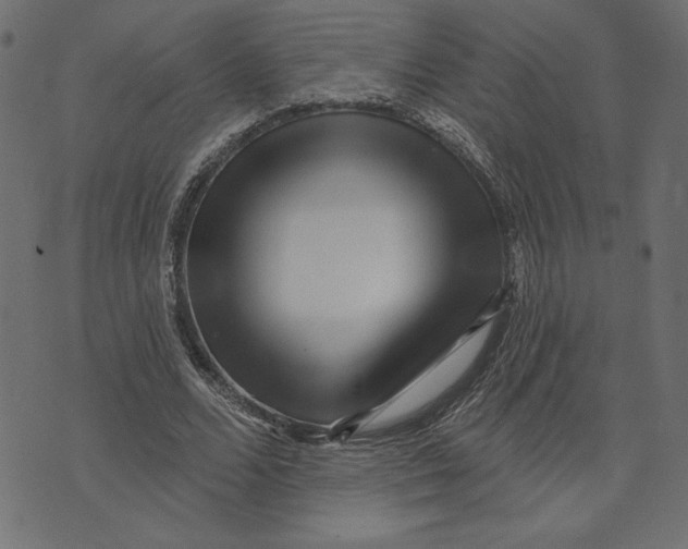 X0000072940680200608181342