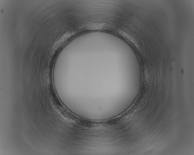 X0000072940682200608181341