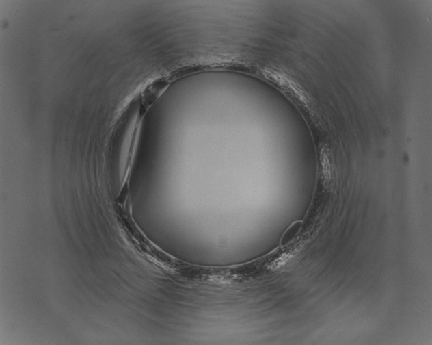 X0000072940684200608181341