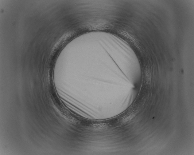 X0000072940686200608181341