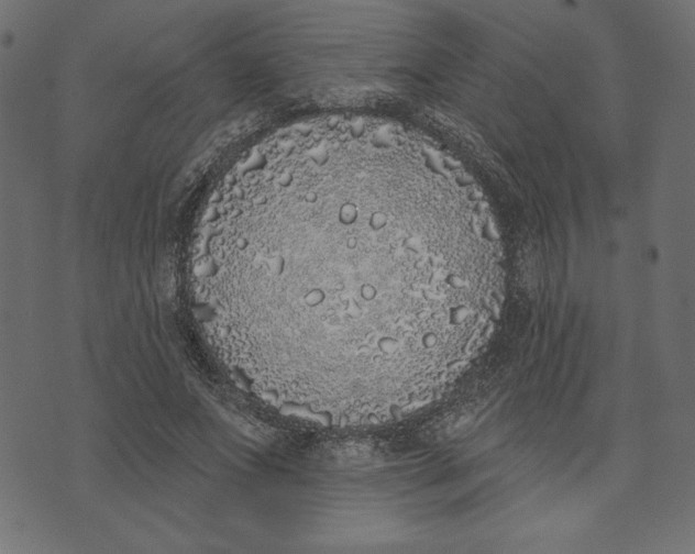 X0000072940687200608181341