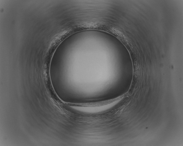 X0000072940688200608181341