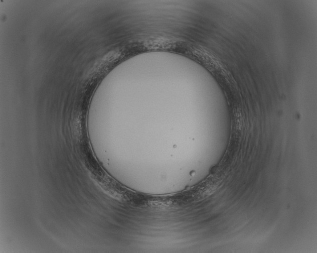 X0000072940690200608181341