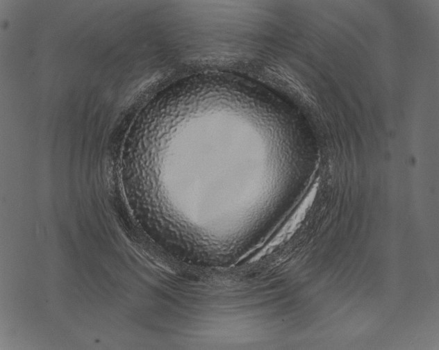 X0000072940692200608181341