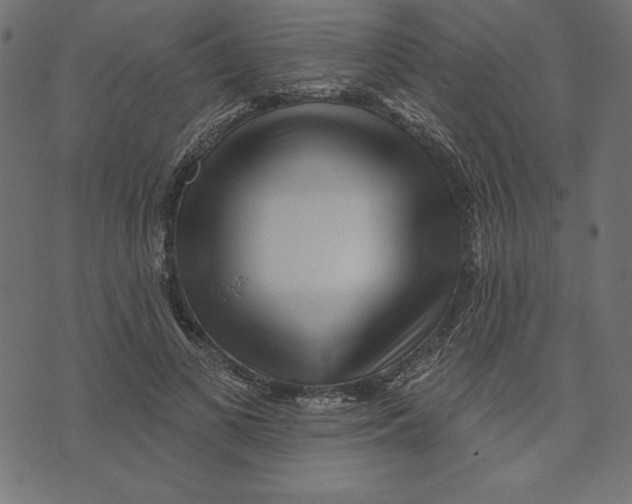 X0000072940693200608181341