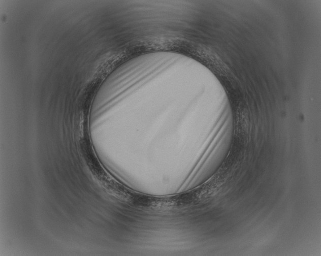 X0000072940694200608181341